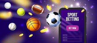 Bangladesh sports followers using bat 786 Chattogram Sports Guide on mobile